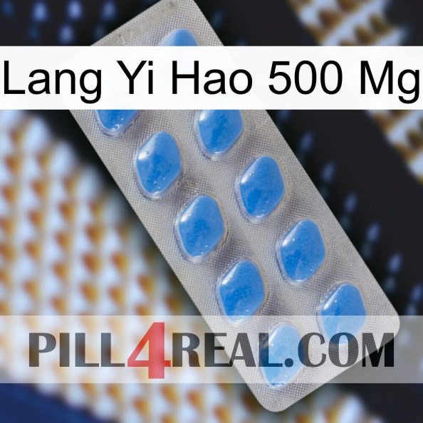 Lang Yi Hao 500 Mg 22.jpg